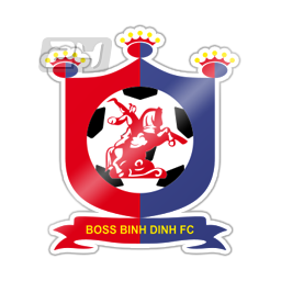 Binh Dinh FC